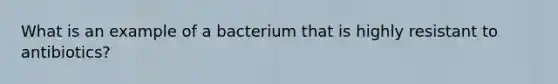 What is an example of a bacterium that is highly resistant to antibiotics?