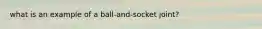 what is an example of a ball-and-socket joint?