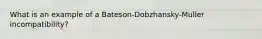 What is an example of a Bateson-Dobzhansky-Muller incompatibility?