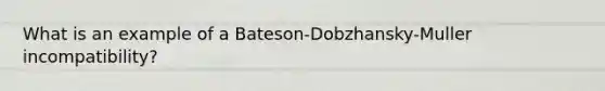 What is an example of a Bateson-Dobzhansky-Muller incompatibility?