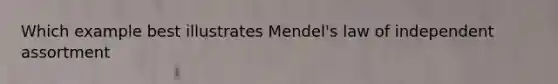 Which example best illustrates Mendel's law of independent assortment