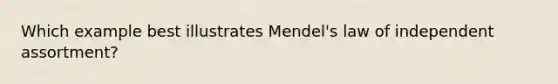 Which example best illustrates Mendel's law of independent assortment?