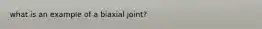 what is an example of a biaxial joint?