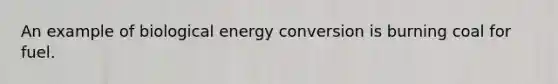 An example of biological energy conversion is burning coal for fuel.