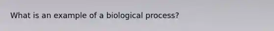 What is an example of a biological process?