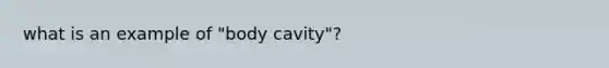 what is an example of "body cavity"?