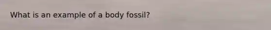 What is an example of a body fossil?