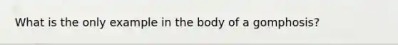 What is the only example in the body of a gomphosis?