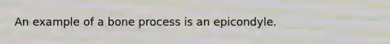 An example of a bone process is an epicondyle.