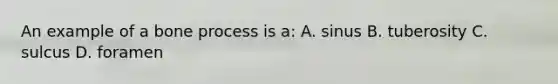 An example of a bone process is a: A. sinus B. tuberosity C. sulcus D. foramen