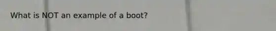 What is NOT an example of a boot?