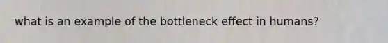 what is an example of the bottleneck effect in humans?