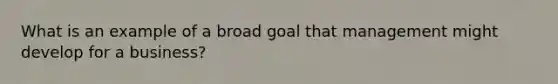 What is an example of a broad goal that management might develop for a business?