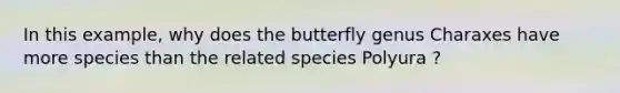 In this example, why does the butterfly genus Charaxes have more species than the related species Polyura ?