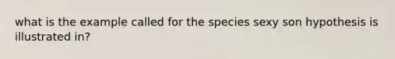 what is the example called for the species sexy son hypothesis is illustrated in?