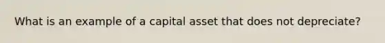 What is an example of a capital asset that does not depreciate?