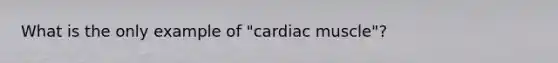 What is the only example of "cardiac muscle"?