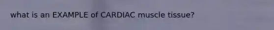 what is an EXAMPLE of CARDIAC muscle tissue?
