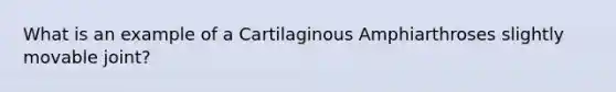 What is an example of a Cartilaginous Amphiarthroses slightly movable joint?