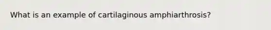 What is an example of cartilaginous amphiarthrosis?