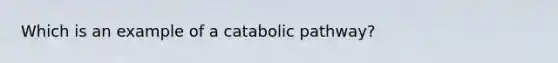 Which is an example of a catabolic pathway?