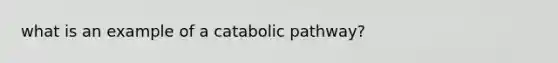 what is an example of a catabolic pathway?