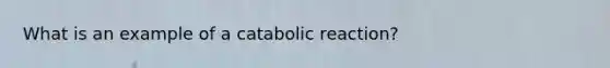 What is an example of a catabolic reaction?