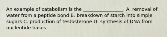 An example of catabolism is the _________________. A. removal of water from a peptide bond B. breakdown of starch into simple sugars C. production of testosterone D. synthesis of DNA from nucleotide bases