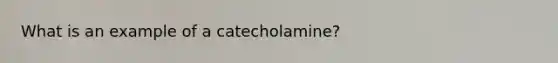 What is an example of a catecholamine?