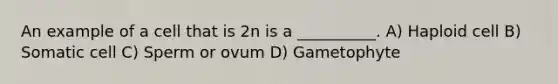 An example of a cell that is 2n is a __________. A) Haploid cell B) Somatic cell C) Sperm or ovum D) Gametophyte