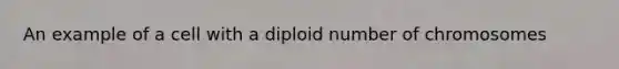 An example of a cell with a diploid number of chromosomes