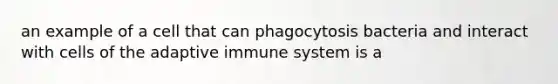 an example of a cell that can phagocytosis bacteria and interact with cells of the adaptive immune system is a