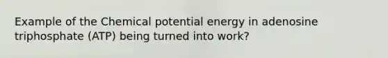 Example of the Chemical potential energy in adenosine triphosphate (ATP) being turned into work?