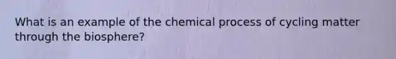 What is an example of the chemical process of cycling matter through the biosphere?