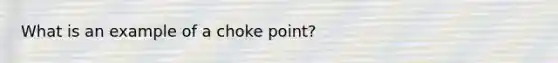 What is an example of a choke point?