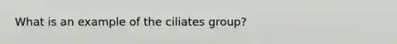 What is an example of the ciliates group?