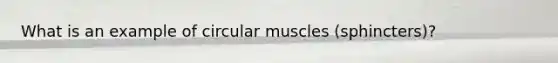 What is an example of circular muscles (sphincters)?