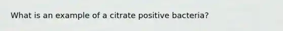 What is an example of a citrate positive bacteria?