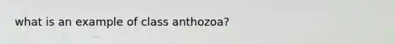 what is an example of class anthozoa?