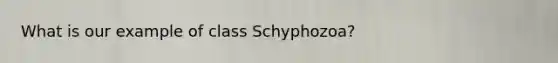 What is our example of class Schyphozoa?