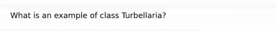 What is an example of class Turbellaria?