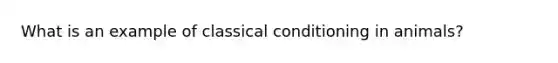 What is an example of classical conditioning in animals?