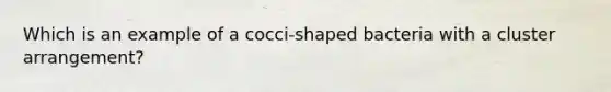 Which is an example of a cocci-shaped bacteria with a cluster arrangement?