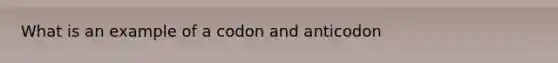 What is an example of a codon and anticodon