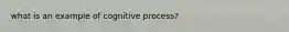 what is an example of cognitive process?