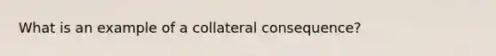 What is an example of a collateral consequence?