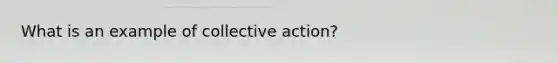 What is an example of collective action?