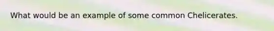 What would be an example of some common Chelicerates.