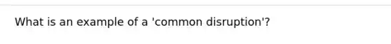 What is an example of a 'common disruption'?