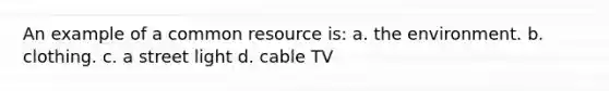 An example of a common resource is: a. the environment. b. clothing. c. a street light d. cable TV